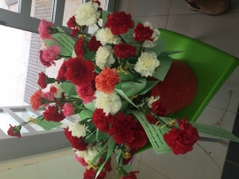 חלוקת פרחים של ילדי שנת "בר המצווה" לתושבים לכבוד האביב יחד עם ועדת פרט(6 תמונות)
