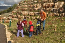 נטיעות ט"ו בשבט בכמון תשע"ב