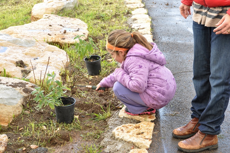 נטיעות ט"ו בשבט בכמון תשע"ב