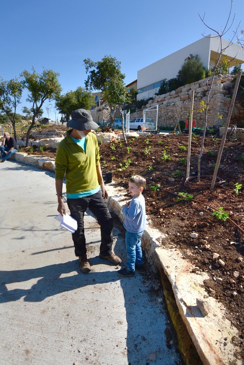 ט"ו בשבט