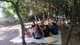 אלבום תמונות שבועות 2017(80 תמונות)