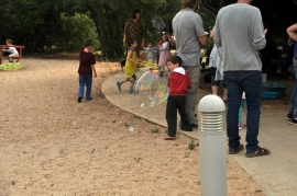 שולה (43)